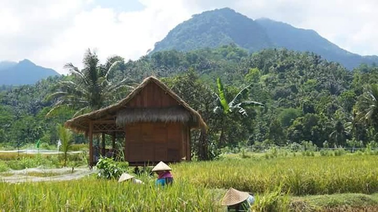 Desa Kerujuk Lombok